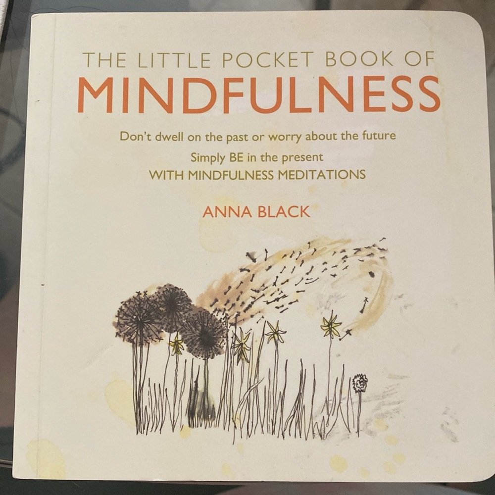 The little pocketbook of mindfulness by Anna Black